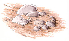 akmenys alpinariume